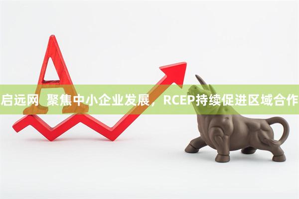 启远网  聚焦中小企业发展，RCEP持续促进区域合作
