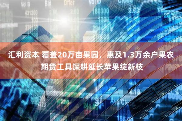 汇利资本 覆盖20万亩果园，惠及1.3万余户果农 期货工具深耕延长苹果绽新枝