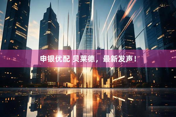 申银优配 贝莱德，最新发声！